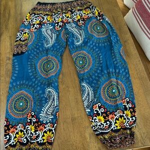 EARTHBOUND Blue Paisley Print Pants
